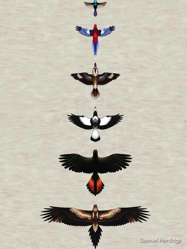 Australian Birds - Illustrated by Samuel Hardidge
