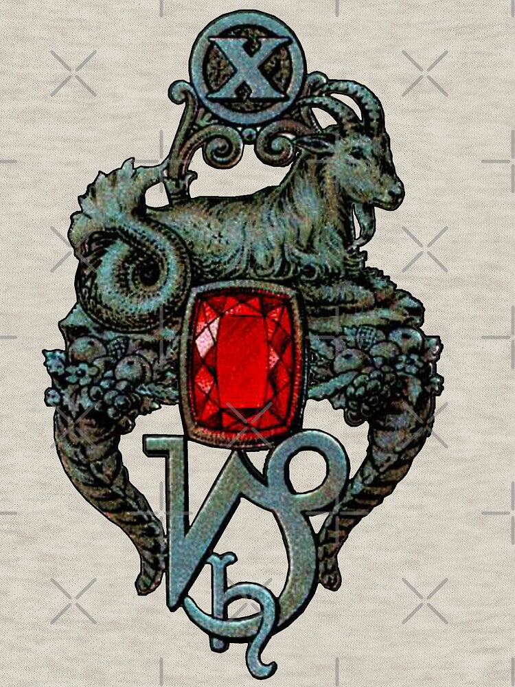 Capricorn Astrology, Zodiac Sign by elevens