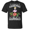 In A World Full Of Grandmas Be A Grammingo Shirt, Hoodie, Tank
