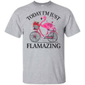 Today I’m Just Flamazing Flamingo Shirt, Hoodie, Tank