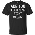 Are You Kitten Me Right Meow Shirt, Hoodie, Tank