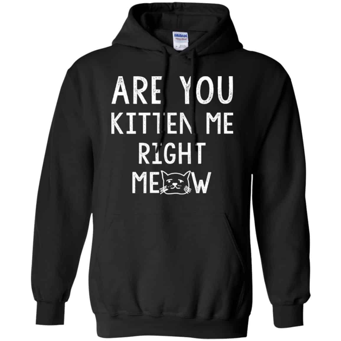 Are You Kitten Me Right Meow Shirt, Hoodie, Tank