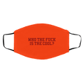 Who The Fuck Is Tre Cool Billie Joe Face Mask