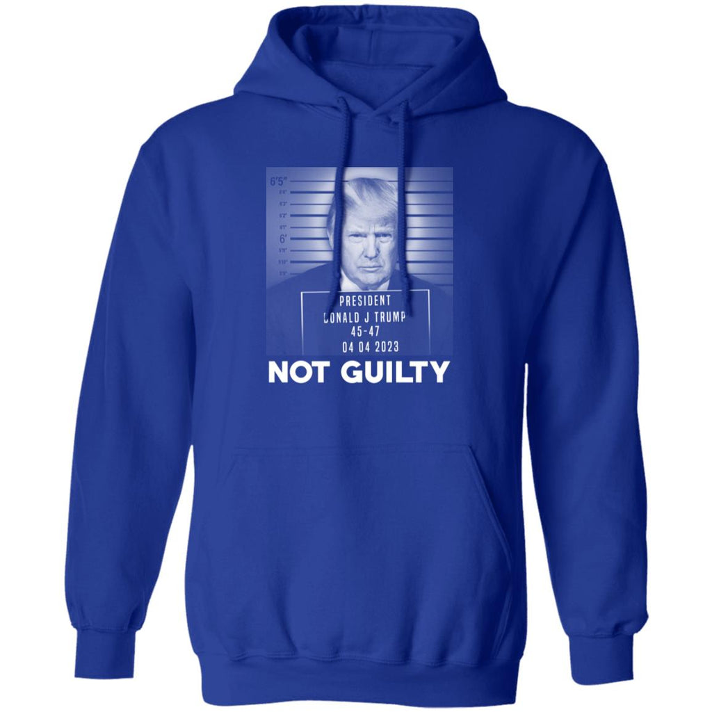 Trump Not Guilty President