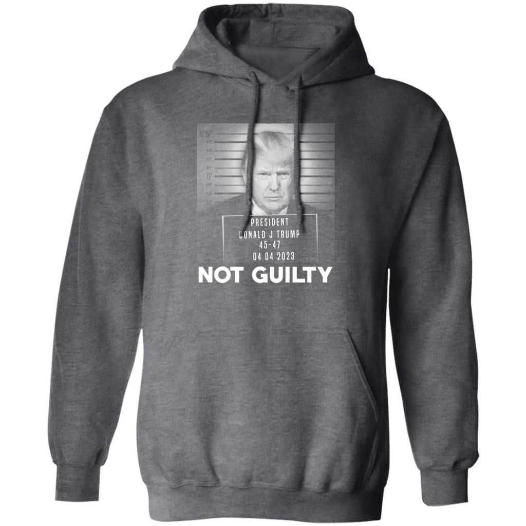 Trump Not Guilty President