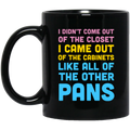 I Didn’t Come Out Of The Closet I Came Out Of The Cabinets Like All Of The Other Pans Mug