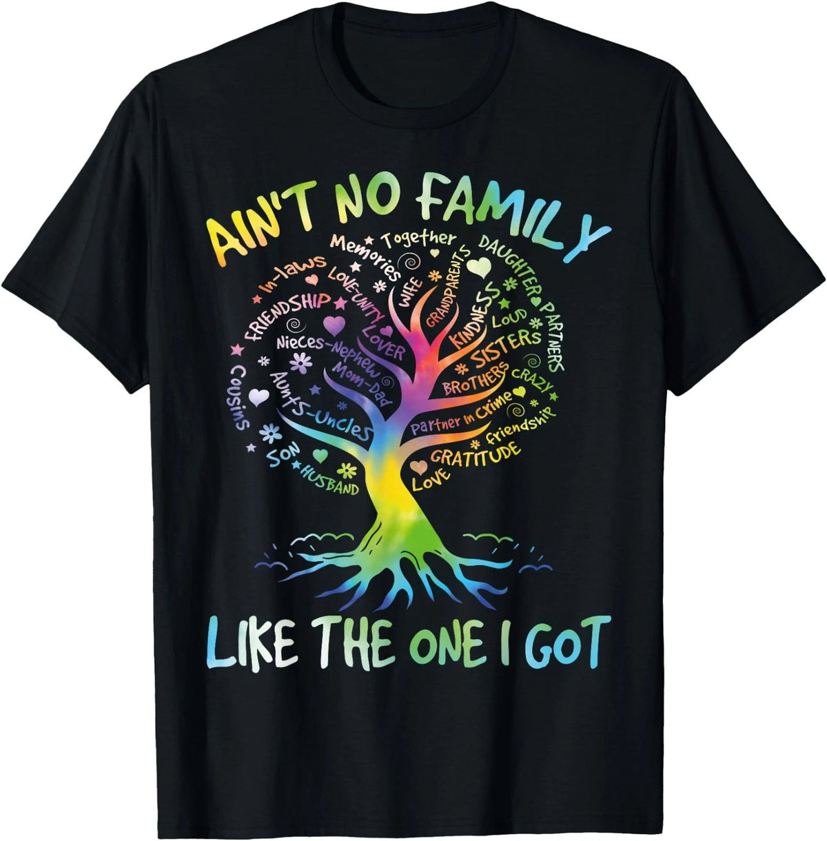 Ain't No Family Like The One I Got - Matching Family Reunion T-Shirt