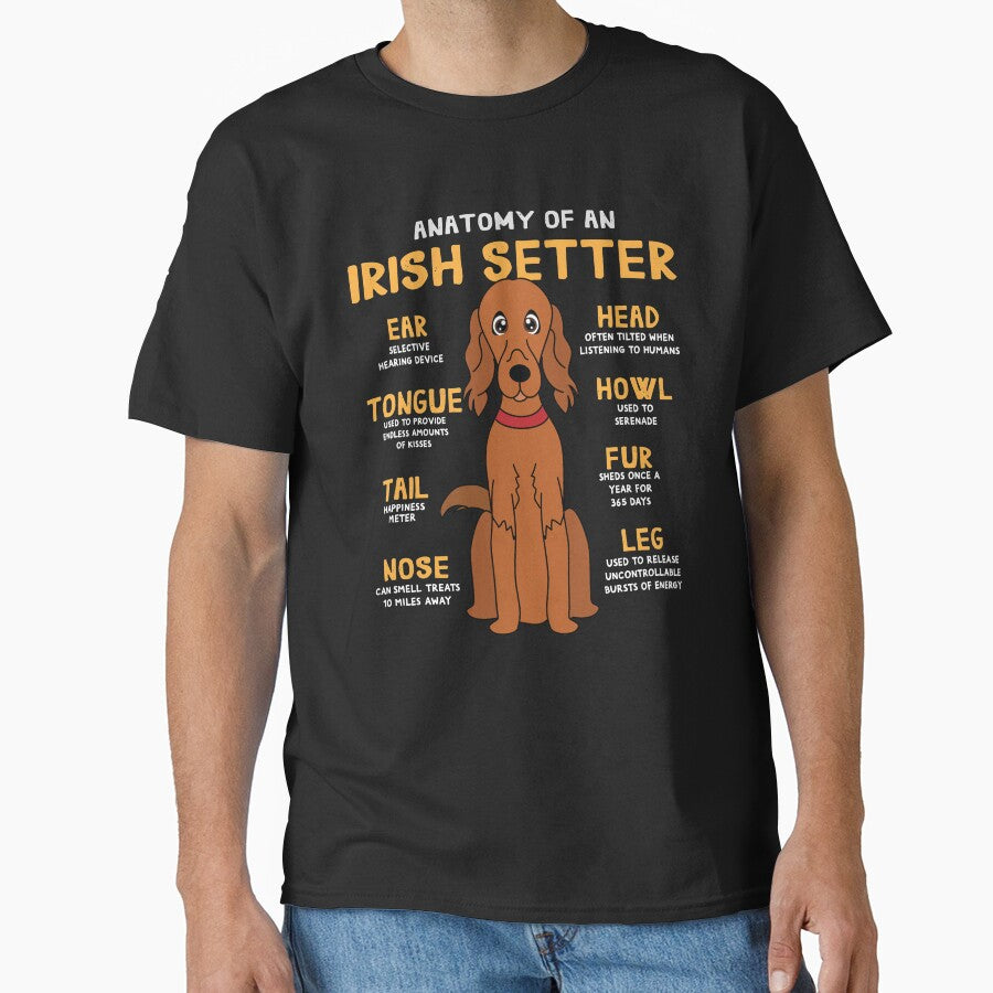Anatomy of Irish Setter Dog by rafaeltto