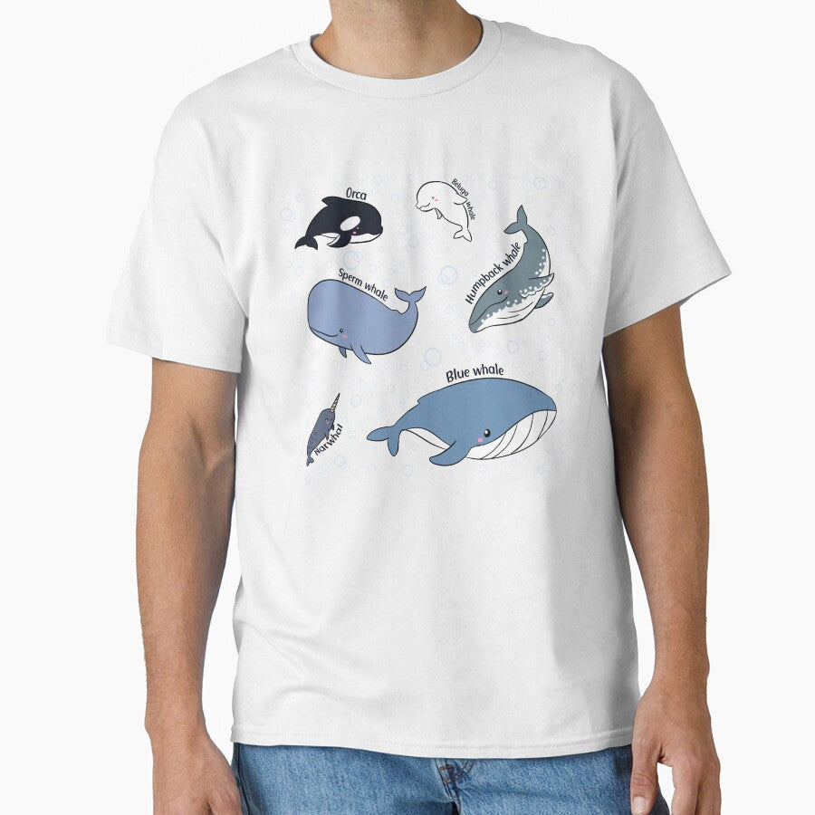 Cute Whales pack -  blue Whale orca humpback whale narwhal sperm whale and beluga whale by Yarafantasyart