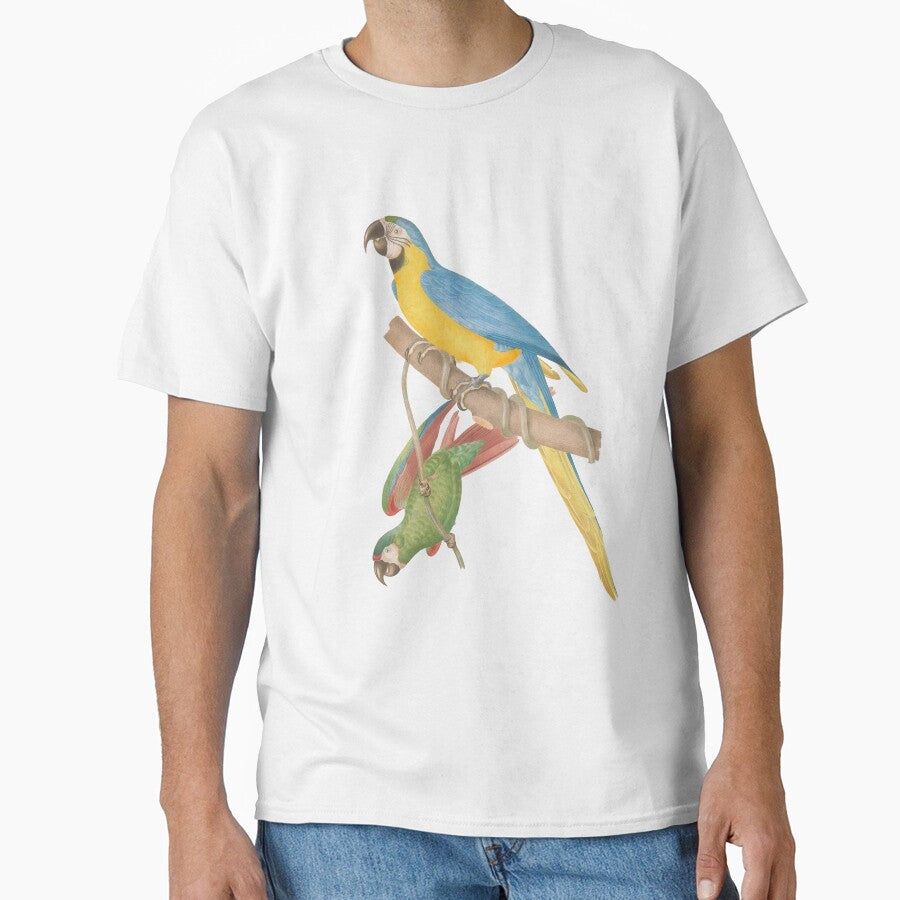 Lovely parrot Couple by OminiDesign
