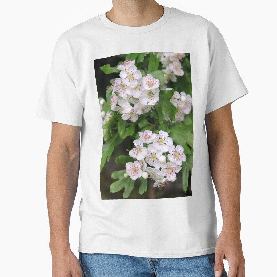 blossom by KathleenDawson