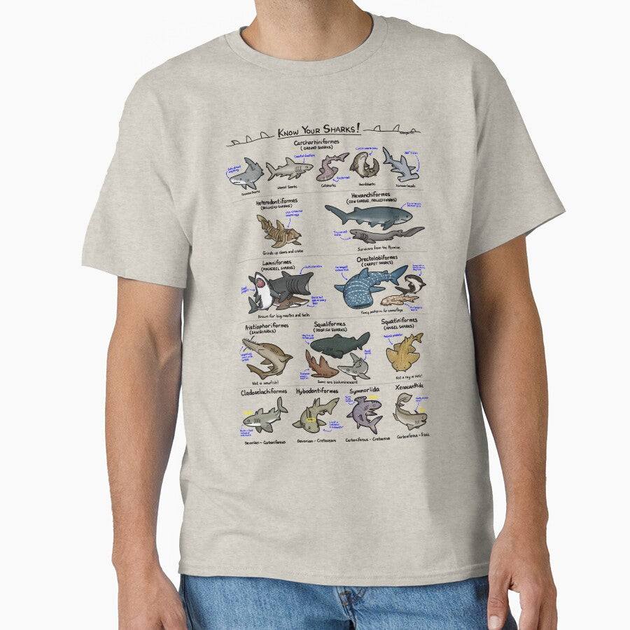 Illustrated Guide to Sharks by KetrinaDrawsALot