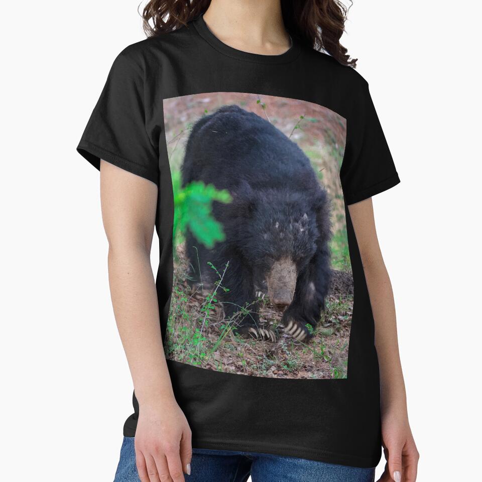 Sloth bear - Wild Life by chamsham2020