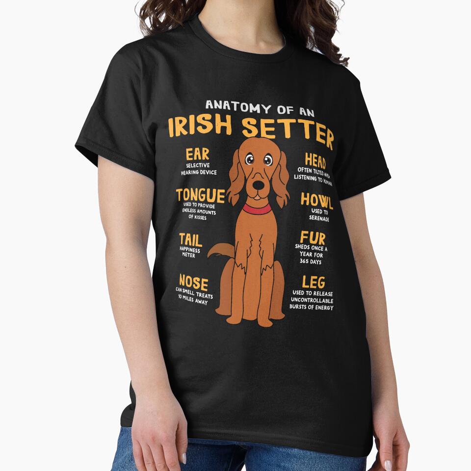 Anatomy of Irish Setter Dog by rafaeltto