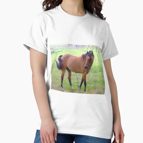 "The horse over the fence". by simdantrine4