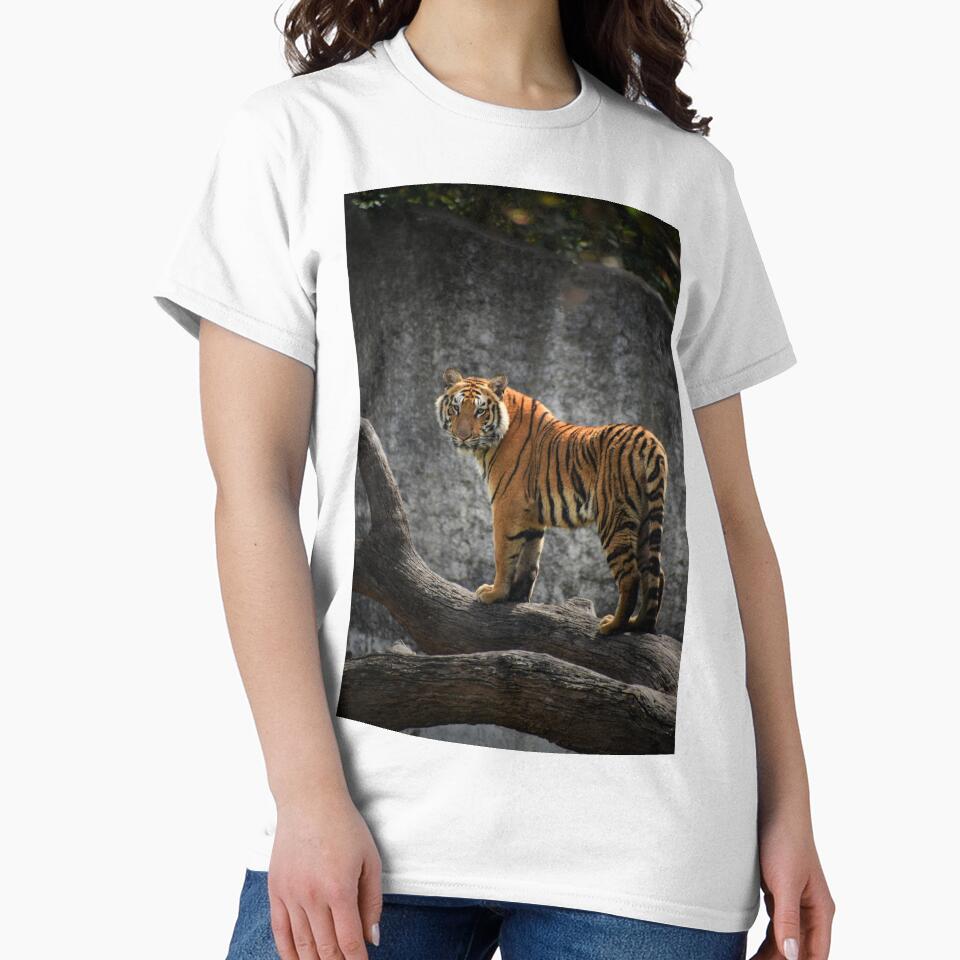Wild Tiger by newburyboutique