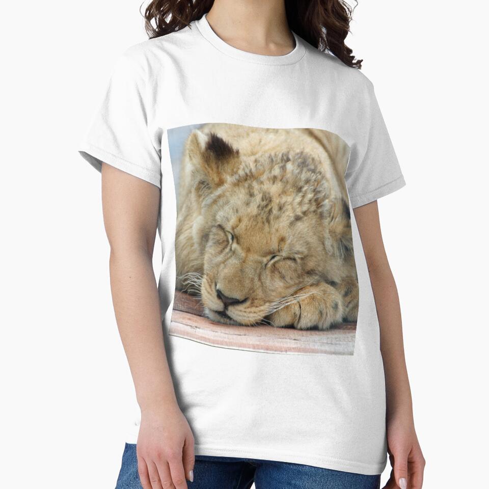 Lion 003 by JAMFoto