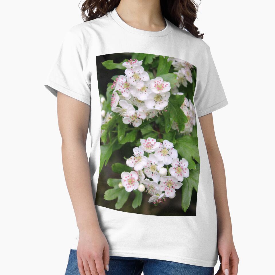 blossom by KathleenDawson