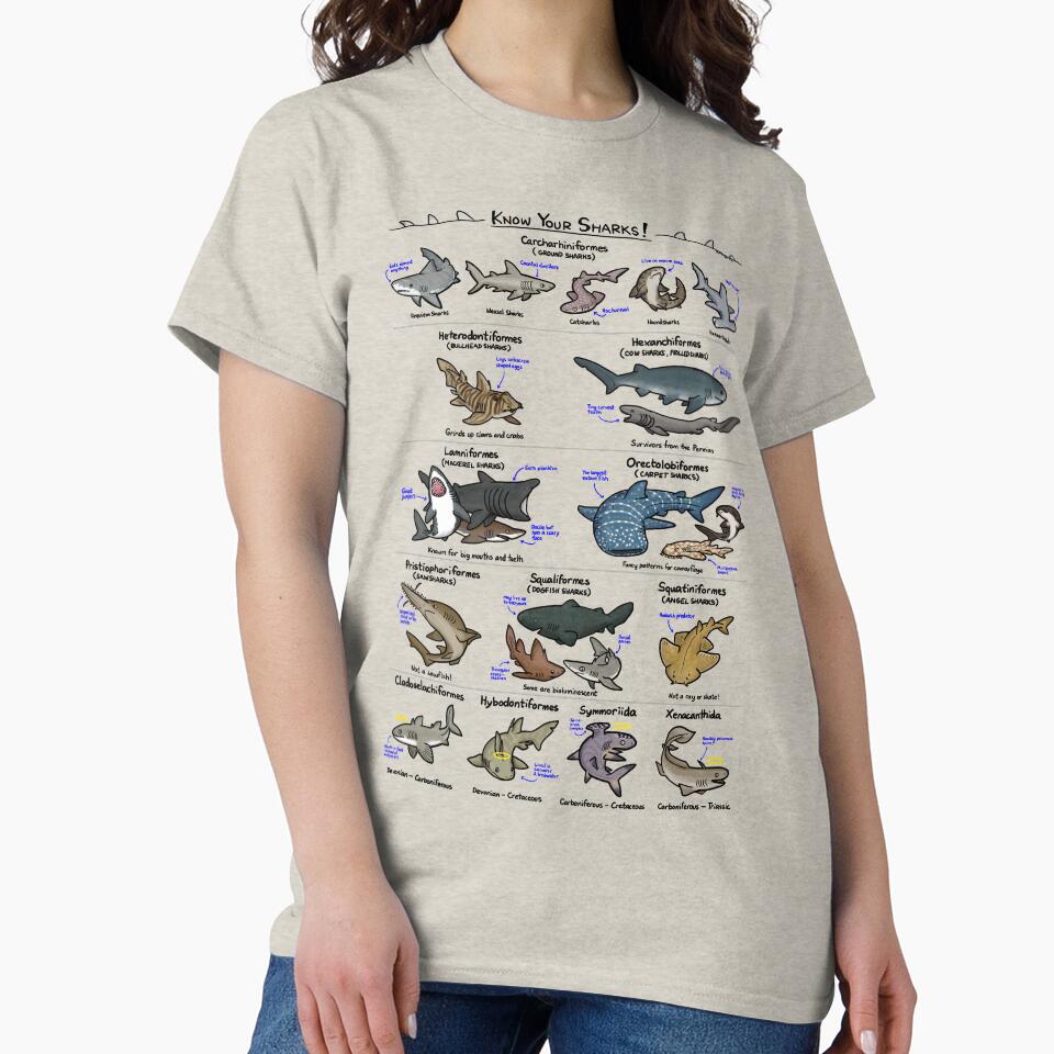 Illustrated Guide to Sharks by KetrinaDrawsALot