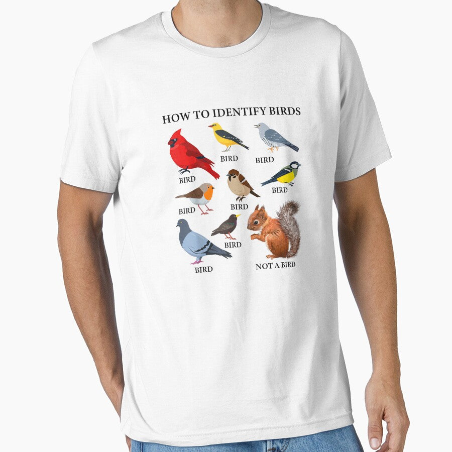 Bird Watching How to Identify Birds by goombi-creative
