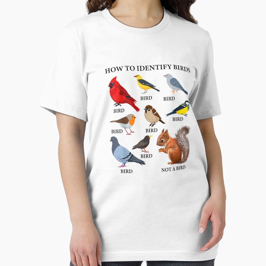 Bird Watching How to Identify Birds by goombi-creative