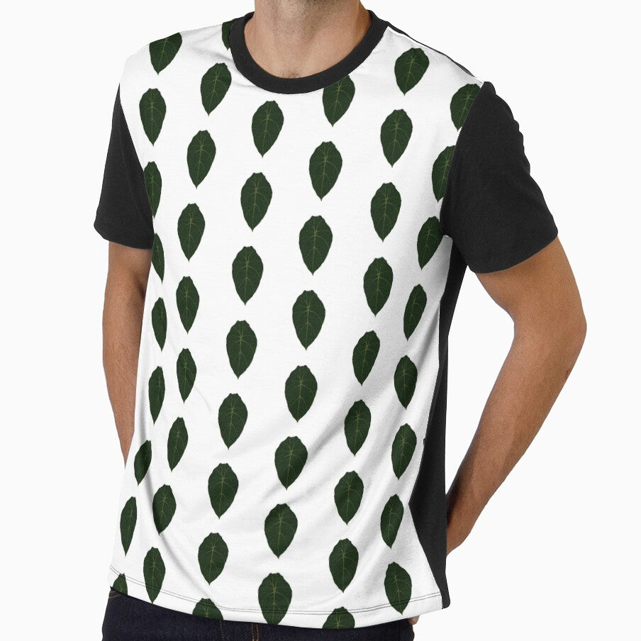 Alocasia black velvet by lu-lu