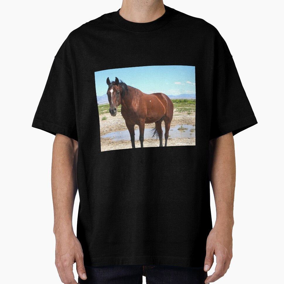 red horse red mustang by Stephanie  Skeem