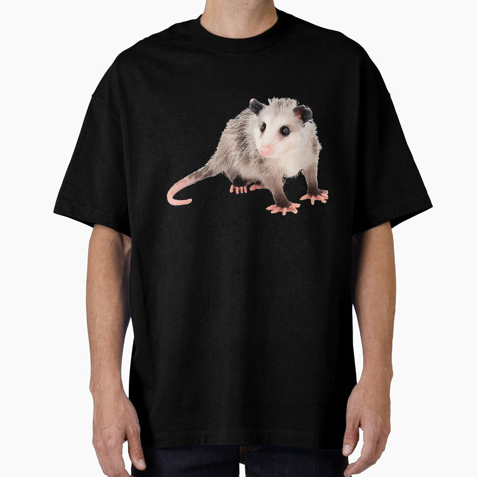 Baby Opossum - Possum by LoicThiessen