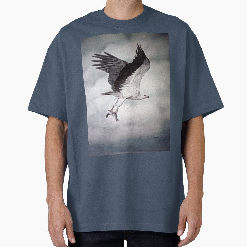 White-bellied Sea-Eagle (Haliaeetus leucogaster) 2 by Elizabeth Russell-Arnot