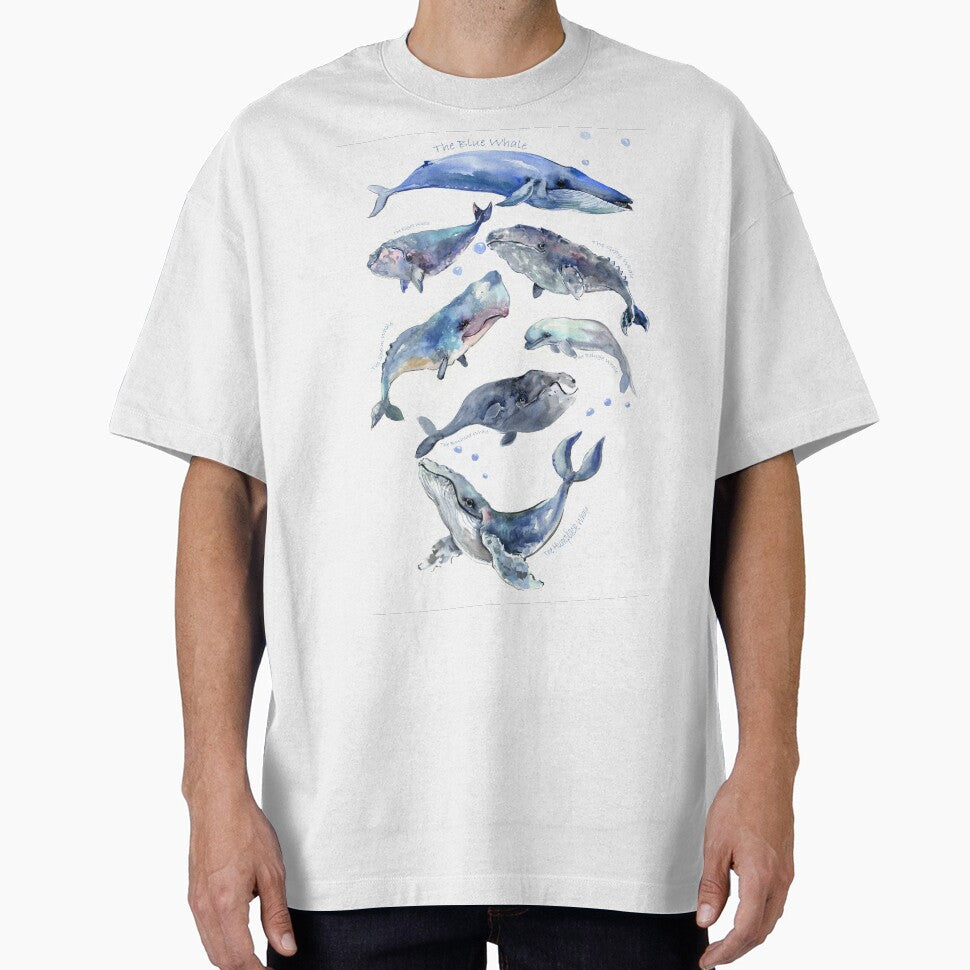 Whale çollection by surenart