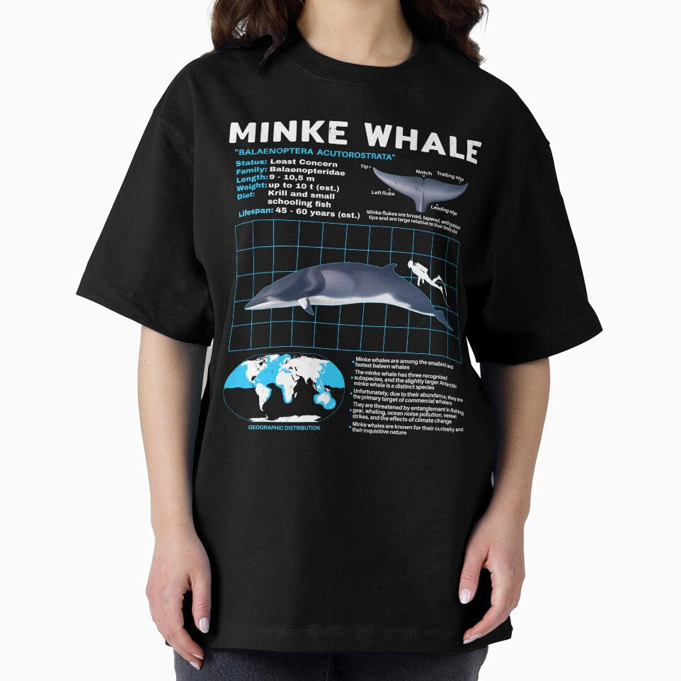 Copy of Minke whale data sheet by NicGrayGraphic