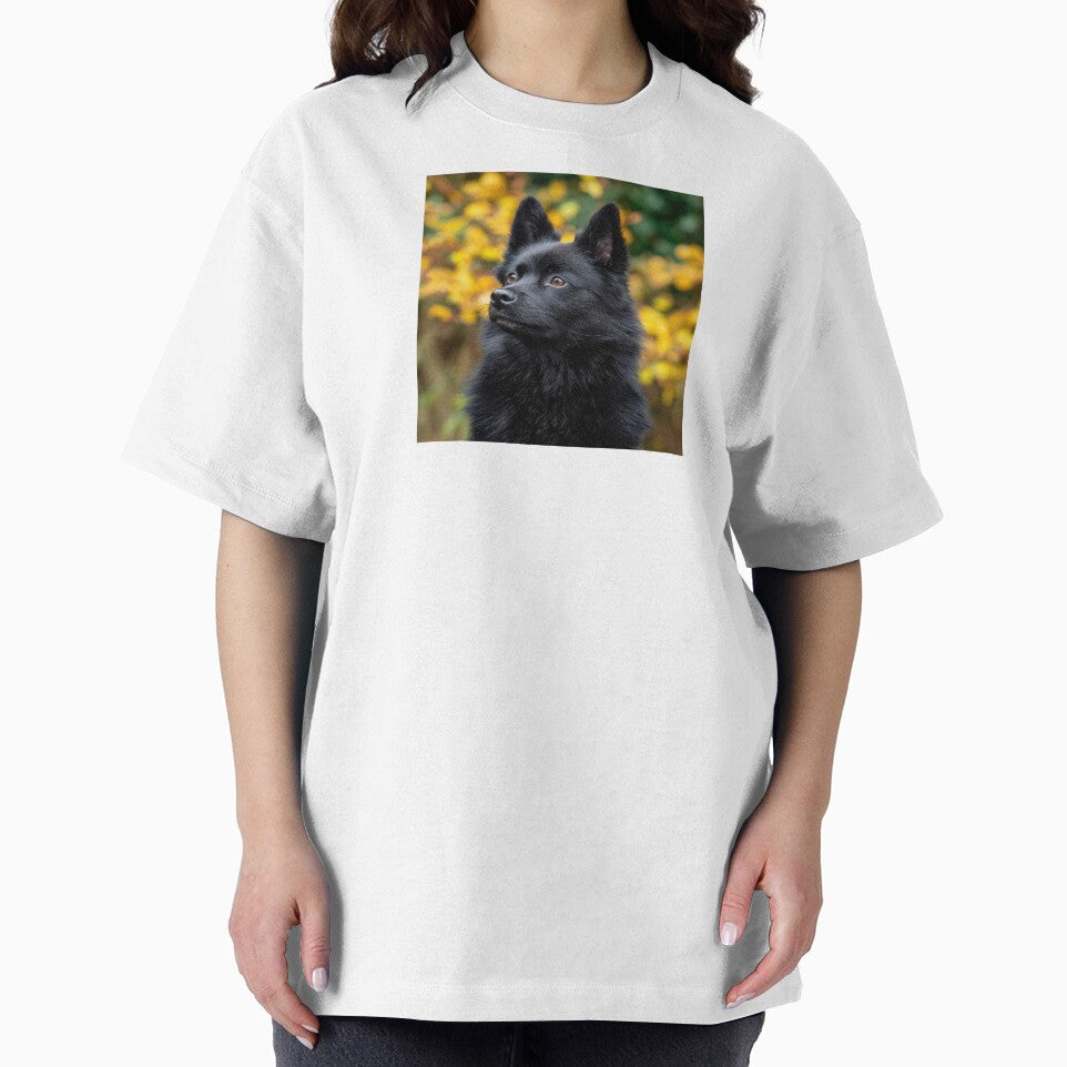 Black Schipperke Dog by Elisabeth Lucas