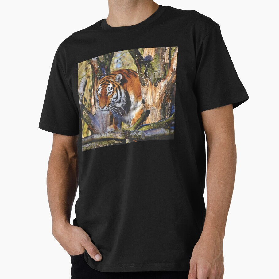Morning Prowling Apex Tiger by TheWildFlix