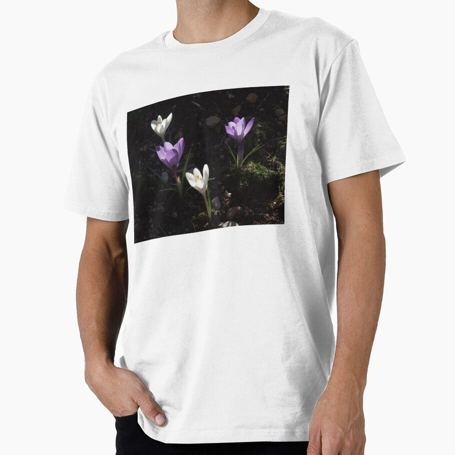 Crocuses by Carina Jern