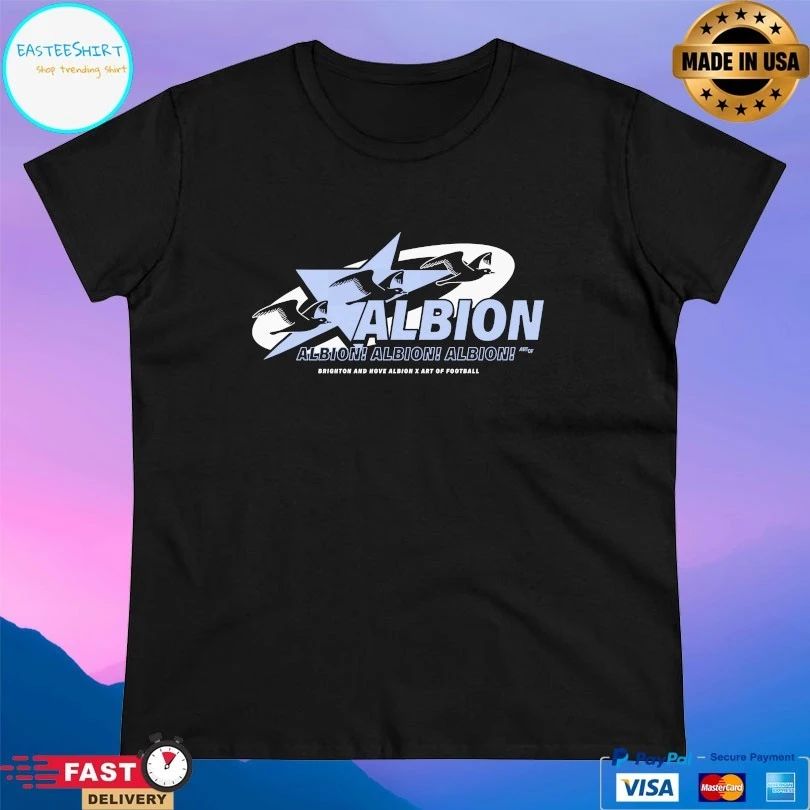 Albion Brighton And Hove Albion X Art Of Football T-shirt