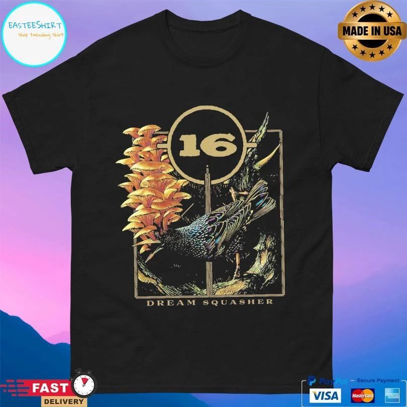 16 Dream Squasher T-shirts